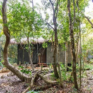 https://ojo-de-agua-designpool-vive-la-autntica-selva.allrivieramayahotels.com